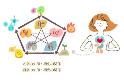 五行 皮膚|めざせ！「五行美人」～五行で知る、自分の性質・体。